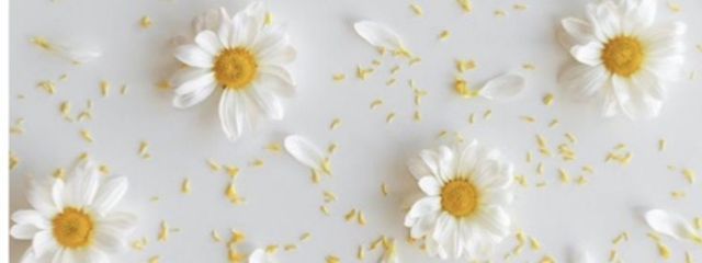 まーちゃんさんの壁紙画像