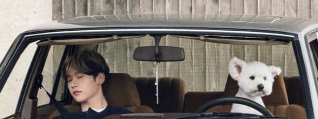   しゃけさんの壁紙画像