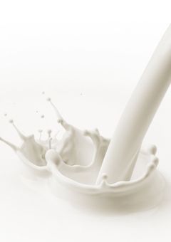 MILKにICExはいかが？