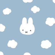 Nさんのアイコン画像