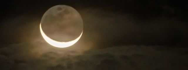 ぽ🐻🐰うに湖🌞🌛🫛🫧💉🐼🧚‍♀️🐋⚰️さんの壁紙画像