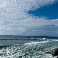 ぽ🐻🐰うに湖🌞🌛🫛🫧💉🐼🧚‍♀️🐋⚰️さんのアイコン画像