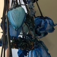 ぽや🐻🐰うに湖📣🫧🫧🫧🫧🫧🫧🫧さんのアイコン画像