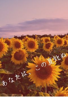 あなたは、この夏ﾀﾋぬ