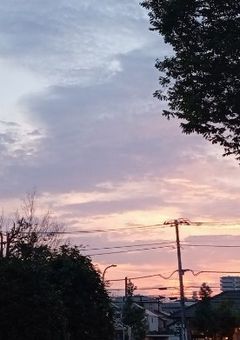 雄英に護衛？ふざけんな！