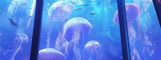 こよみさんの壁紙画像