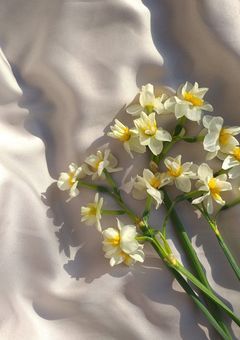 いつまでも 、 これからも