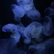 海さんのアイコン画像