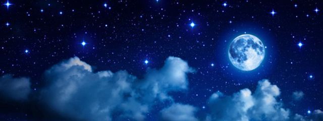 莉緒さんの壁紙画像