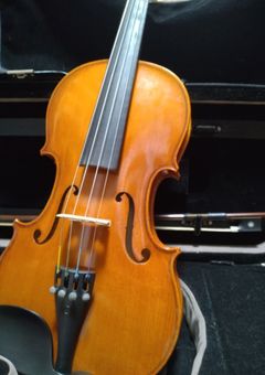 塩な部活の先輩に愛されています