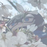 　　限界オタク彡　☝🏻🎶　　さんのアイコン画像