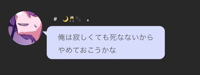 猫さんの壁紙画像