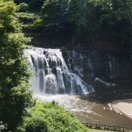 むーさんさんのアイコン画像