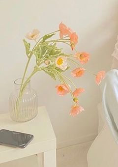 信用されないマンネちゃん【元私は自殺します】