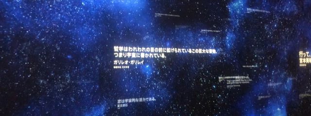 あやฅ^ ̳• ·̫ • ̳^ฅさんの壁紙画像