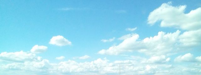 無糖さんの壁紙画像