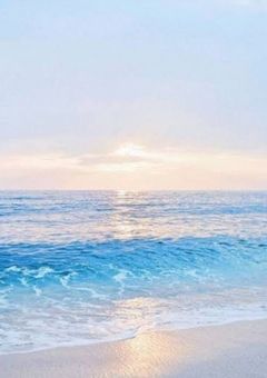 可 愛 い 物 好 き の 冷 徹 少 女 ➹♡