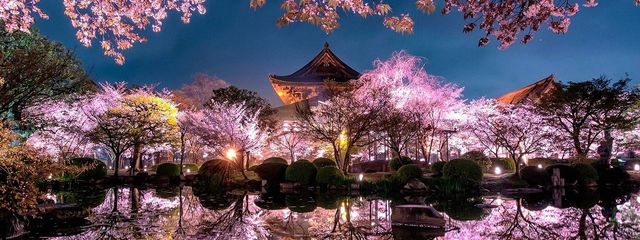 夜桜莉音サブ垢さんの壁紙画像