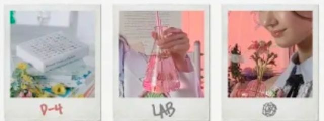 최리아さんの壁紙画像