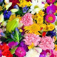 暗黒学課さんのアイコン画像