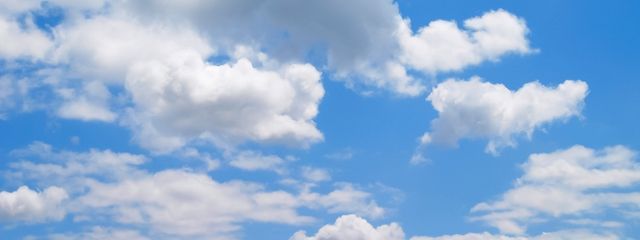 ゆい🐯さんの壁紙画像