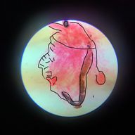 しらふさんのアイコン画像
