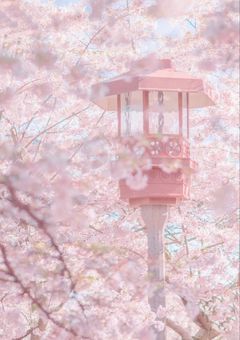 ₘₑᵣₒ'ₛ  ᵣₒₒₘ   🎀.