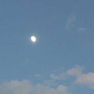 ぬぬぬ♯優覇さんのアイコン画像