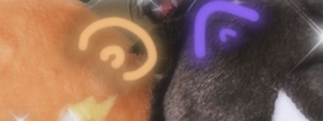 ﾑｩﾙ..⚡︎⚡︎さんの壁紙画像