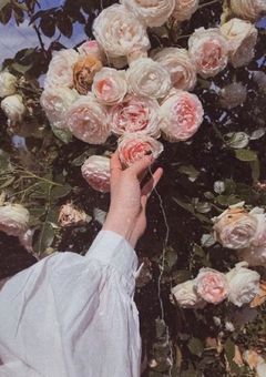 𝑰'𝒎  𝒂𝒍𝒍  𝒚𝒐𝒖𝒓𝒔