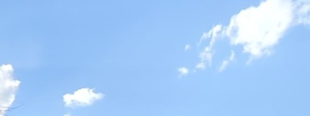 バヌナさんの壁紙画像