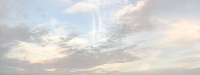 ワヲンさんの壁紙画像