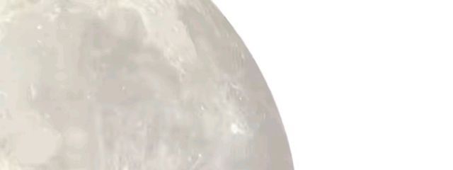 紫音。さんの壁紙画像