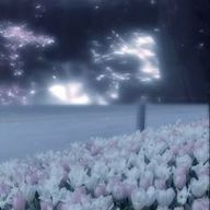 おぎゃ 。さんのアイコン画像