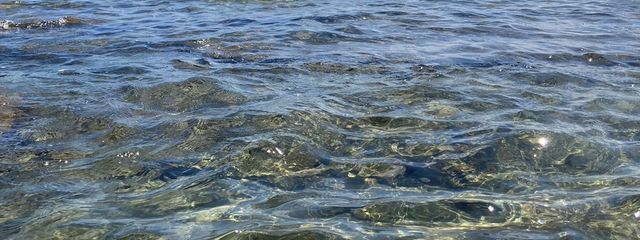 莉希さんの壁紙画像