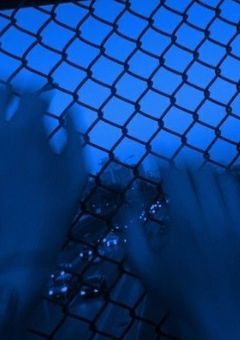 不良(？)グルに溺愛されてます