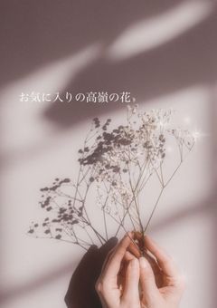 お気に入りの高嶺の花🍓🌷