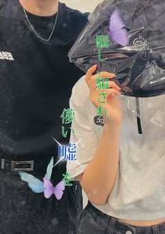 騙し、騙され、儚い嘘を。