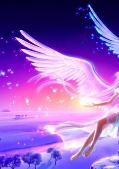 私が、…全ての元素の大神ってほんと？