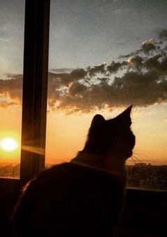 はじめまして、運命の人