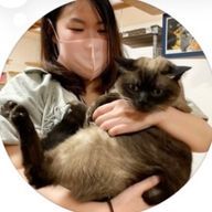 春菜さんのアイコン画像