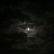 パスタさんのアイコン画像