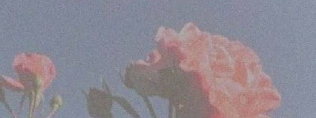 れ あ て ゃ . ✧︎さんの壁紙画像