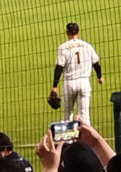 青          春          と          君          と          。