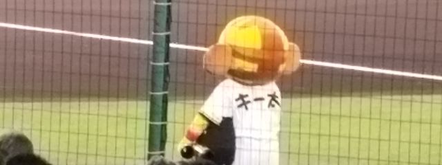 熊 山さんの壁紙画像