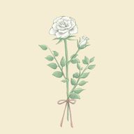 華さんのアイコン画像