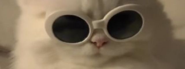 　に  ゃ　ー　。　さんの壁紙画像