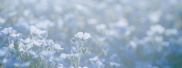 ꒰ঌ angel ✞ devil ໒꒱さんの壁紙画像