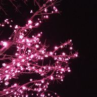 あかりんとうさんのアイコン画像