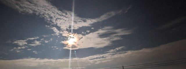 ねこ丸💙🧣⸜(*ˊらˋ*)⸝さんの壁紙画像